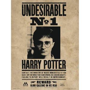 Cartel "Harry Potter, Undesirable n*1"